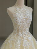 Pretty Ball Gown High Neck Tulle Light Yellow Long Quinceanera Dress Formal Gowns Vestido De 15 Anos Sweet 16 Dress HZ1121