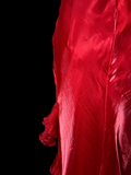 Elegant Sheath Halter Red Satin Long Prom Dresses Party Dress Summer 20th Birthday Outfits 18th Birthday Dresses HZ1121