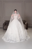 Modest Turtleneck Ball Gown Lace Applique Wedding Dress Elegant Long Sleeve Bridal Dress HZ1121