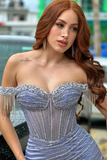 Sexy Mermaid Off The Shoulder Champagne Long Birthday Dress Prom Dress Baddie Summer Birthday Outfit HZ1121