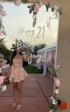 Cute A line Halter Pink Satin Short Summer Birthday Dress Hoco Dress Birthday Outfit 21st Birthday Mini Party Dresses HZ1121