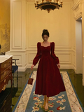 Elegant A Line Square Long Sleeves Burgundy 23rd Birthday Dress Party Gown Birthday Outfits Birthday Dress Ideas For Women HZ1121
