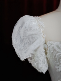 Glitter Wedding Dresses Ball Gown Sweetheart Short Sleeves Lace Wedding Dresses Bridal Gowns HZ1121