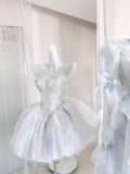 Cute Ball Gown Sweetheart Short Light Sky Blue Homecoming Dress Summer Hoco Dresses Cocktail Dress For Senior Teens HZ1121