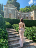 Gorgeous Halter Neck Sheath Evening Dresses Tulle Backless Prom Dresses Light Pink Formal Dresses HZ1121