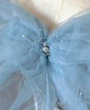 Pretty Ball Gown Strapless Blue Tulle l Sleeveless Long Prom Dresses Evening Dresses HZ1121