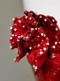 Elegant Glamour Sheath Burgundy Sequin Prom Dress Party Dress Evening Dresses HZ1121