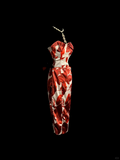Classy Sheath Strapless Floral Short Homecoming Dress Summer Hoco Dresses Cocktail Dress HZ1121