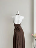 Sexy Sheath Halter Summer Brown Long Dress Holiday Party Outfits For Women HZ1121