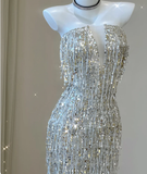 Classy Sheath Strapless Silver Sequin Evening Dress Long Prom Dresses HZ1121