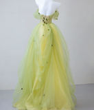 Sexy Ball Gown Off The Shoulder Sage Green Elegant Tulle Long Prom Dresses HZ1121