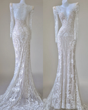 Unique Mermaid V Neckline White Lace Long Sleeves Wedding Dresses Brides Dress HZ1121