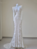 Unique Mermaid V Neckline White Lace Long Sleeves Wedding Dresses Brides Dress HZ1121