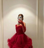 Sexy Ball Gown Long Straps Red Tulle Prom Dresses HZ1022