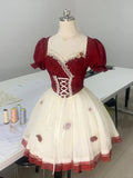 Rose Manor Burgundy and White Contrast Lace Trim Mesh Homecoming Dress HZ1022