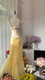 Vintage Yellow Backless Beaded Chiffon Long Prom Dress HZ1022