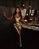Sexy Prom Dresses Sleeveless Backless Prom Dress Birthday Outfits HZ1022
