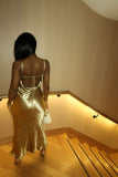 Sexy Prom Dresses Sleeveless Backless Prom Dress Birthday Outfits HZ1022