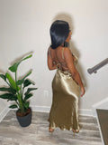 Sexy Prom Dresses Sleeveless Backless Prom Dress Birthday Outfits HZ1022