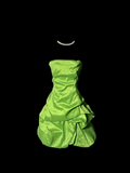 Classy A Line Strapless Taffeta Green Short Homecoming Dress Cocktail Dress Prom Dresses HZ1121