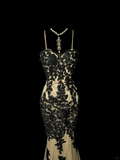 Vintage Classy Mermaid Spaghetti Straps Champagne Tulle Lace Long Evening Dress Prom Dresses HZ1121