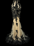Vintage Classy Mermaid Spaghetti Straps Champagne Tulle Lace Long Evening Dress Prom Dresses HZ1121